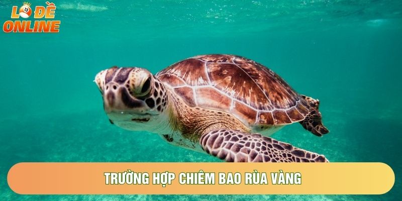 Trường hợp chiêm bao rùa vàng